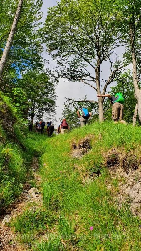 Wandergruppe auf einem grünen Hang beim Aufstieg aus dem Steinbachtal.