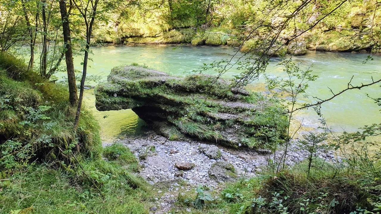 Ein kleiner Drache an der Steyr ;)