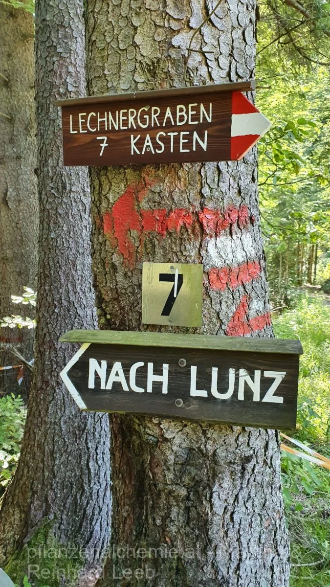 Lunz-Ybbstalerhütte – Aufnahme 9