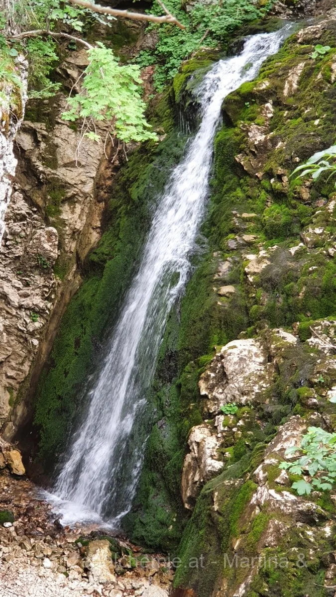 Ybbstalerhütte-Dürrenstein-Lunz – Aufnahme 59