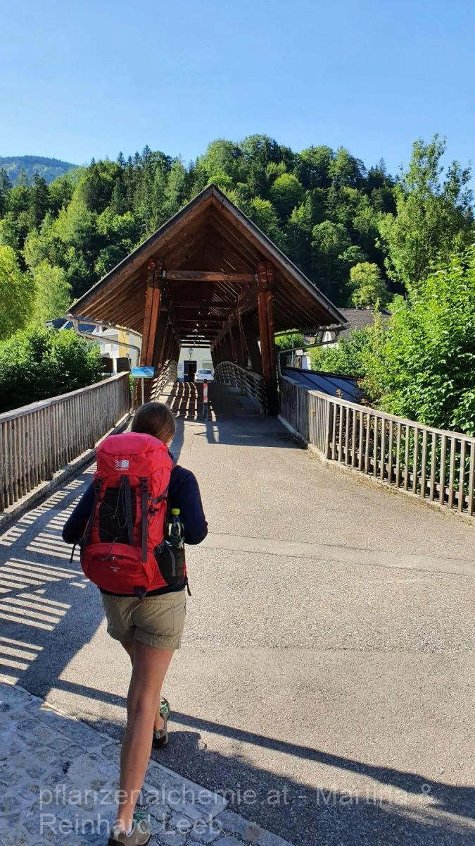 Lunz-Ybbstalerhütte – Aufnahme 3