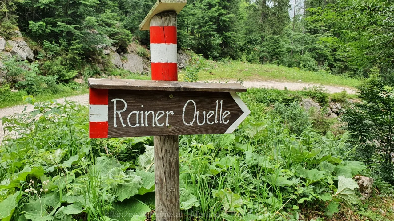 Ybbstalerhütte-Dürrenstein-Lunz – Aufnahme 56