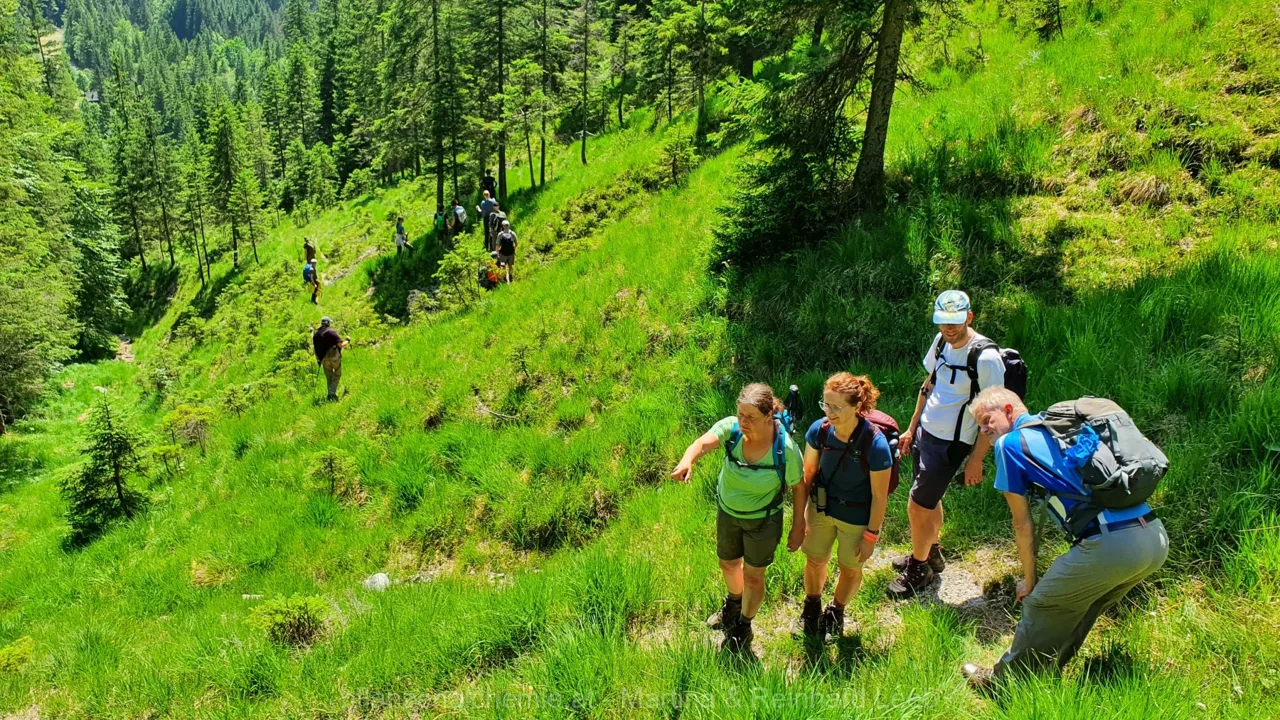 Beim Abstieg ins Lassingtal