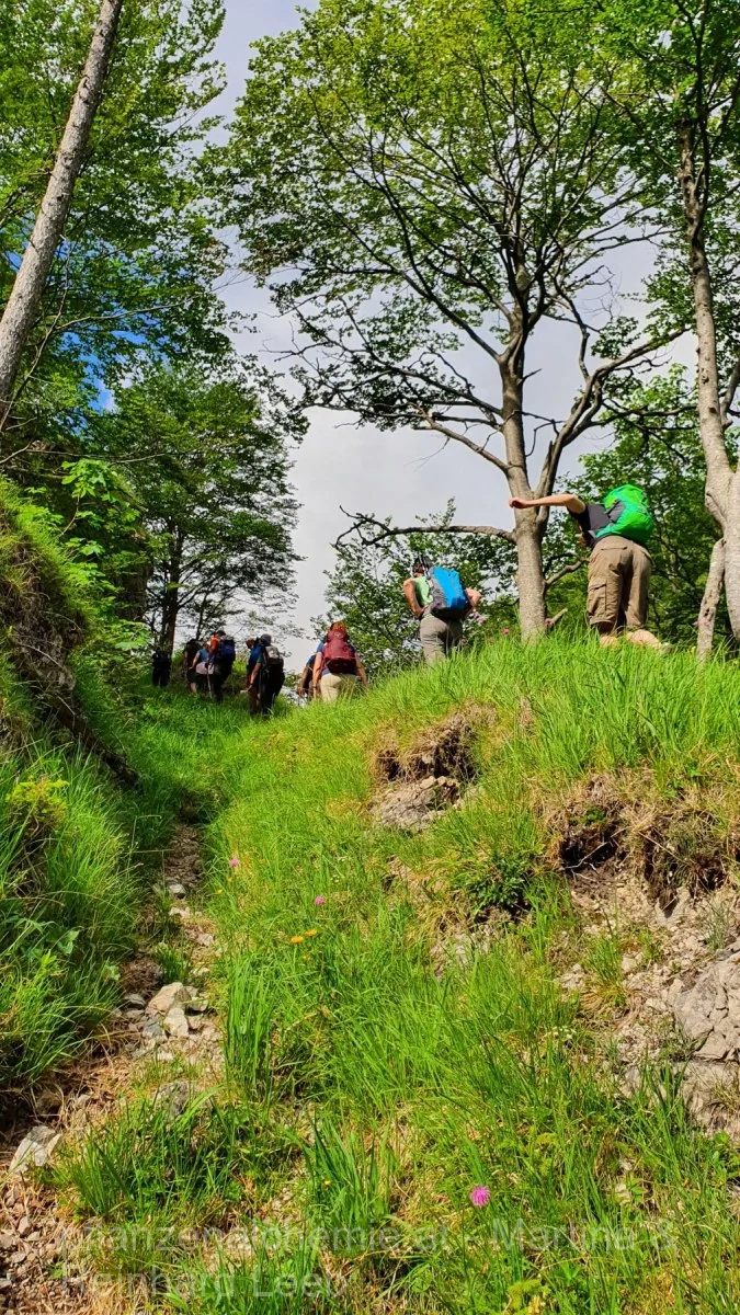 Der Aufstieg aus dem Steinbachtal zum Tremelsteig