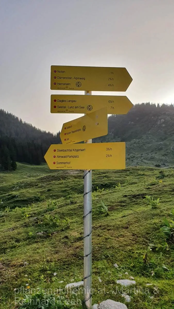 Ybbstalerhütte-Dürrenstein-Lunz – Aufnahme 1