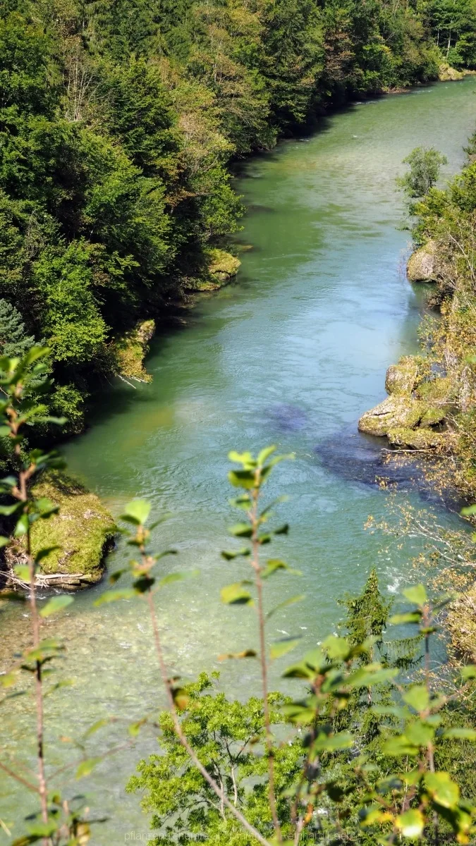 Blick auf die Steyr