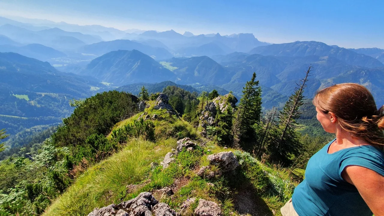 Bodenwies 8.8.2020 – Aufnahme 32