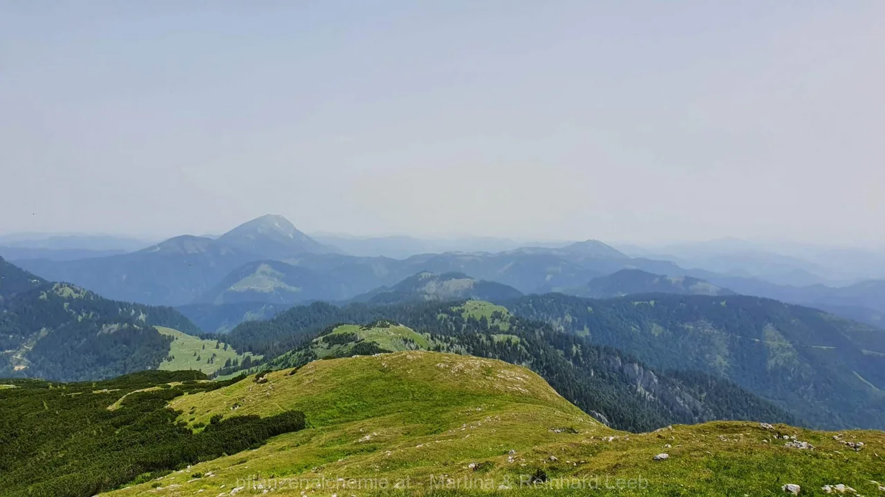 Ybbstalerhütte-Dürrenstein-Lunz – Aufnahme 41