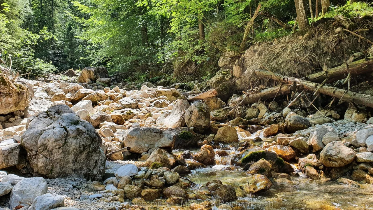 Lunz-Ybbstalerhütte – Aufnahme 28