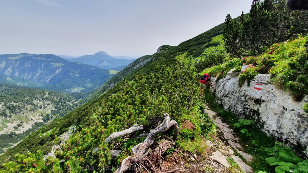 Ybbstalerhütte-Dürrenstein-Lunz – Aufnahme 32