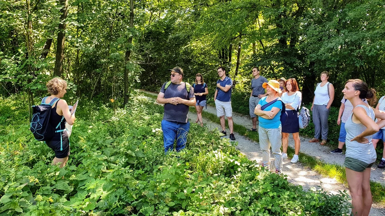 Die Exkustionsgruppe beim Erkunden