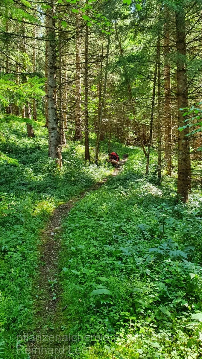 Lunz-Ybbstalerhütte – Aufnahme 16