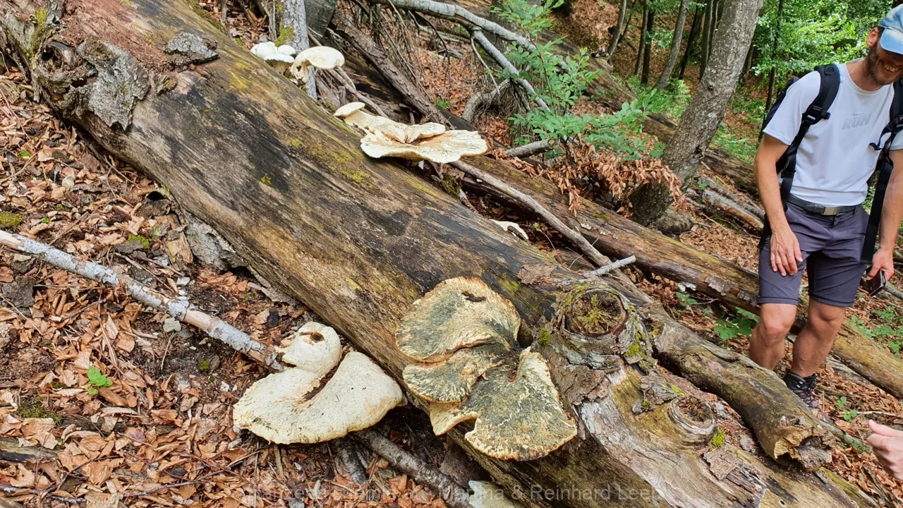 Steinbachtal-Lassingtal – Aufnahme 9