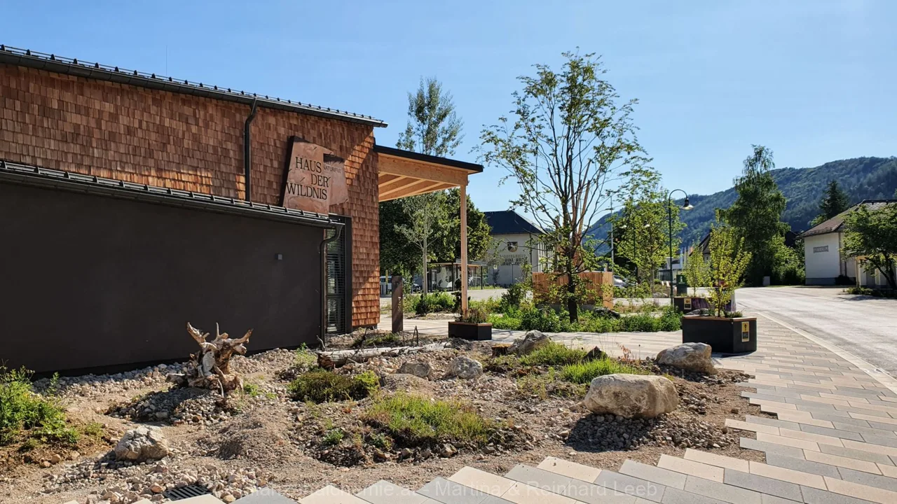 Lunz-Ybbstalerhütte – Aufnahme 1