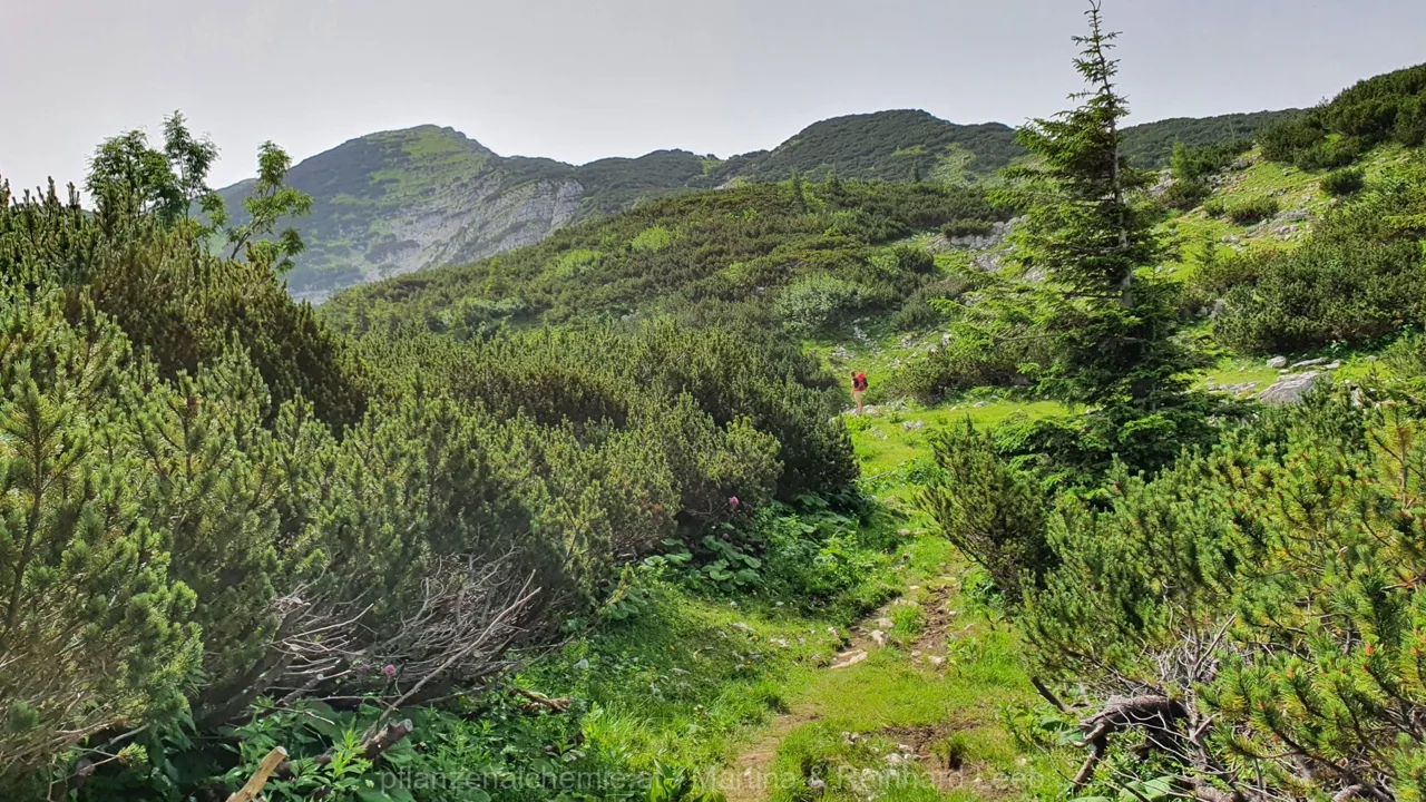 Ybbstalerhütte-Dürrenstein-Lunz – Aufnahme 23