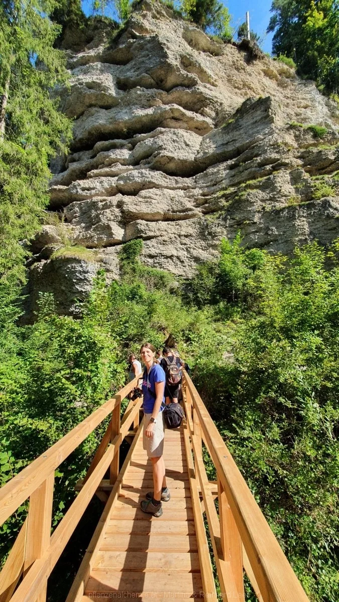 Auf der Brücke der krummen Steyrling