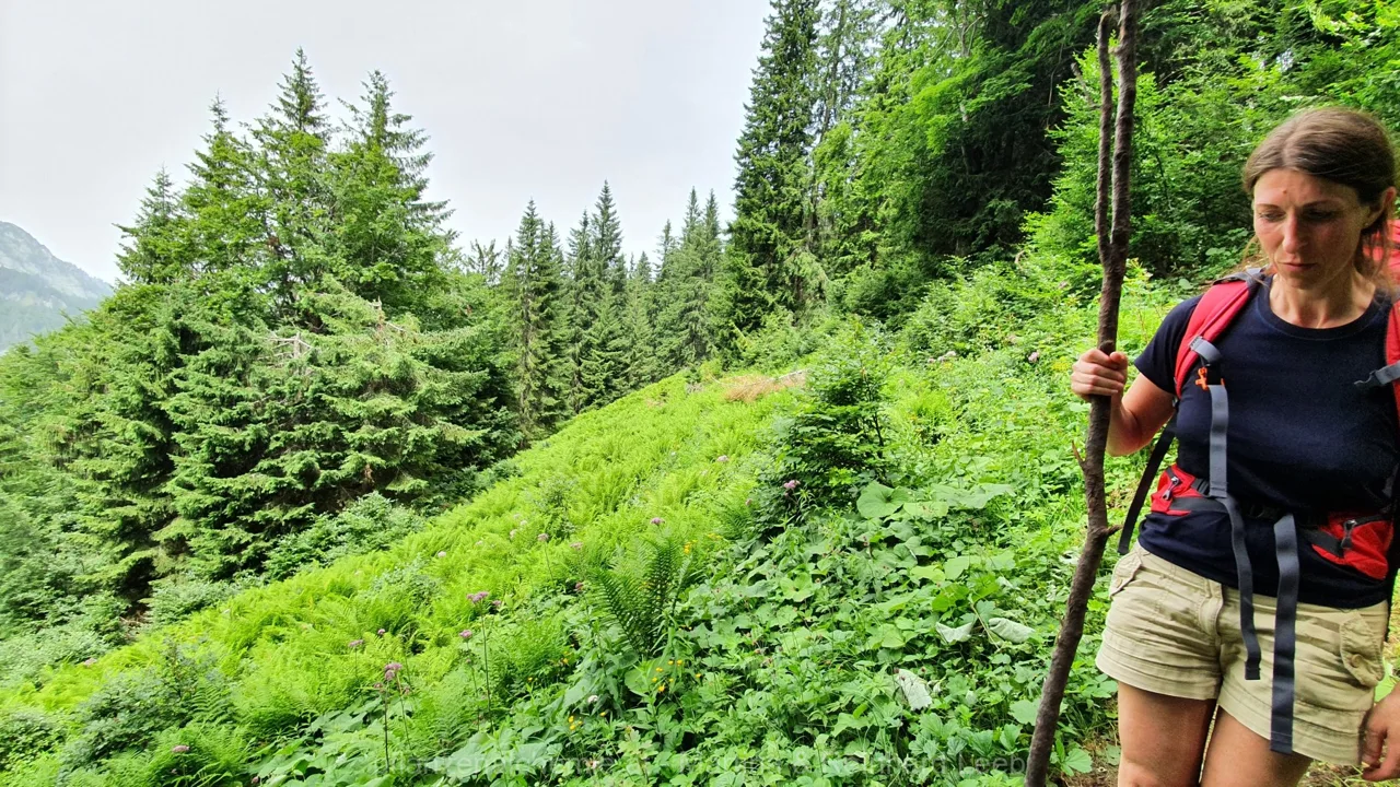 Ybbstalerhütte-Dürrenstein-Lunz – Aufnahme 51