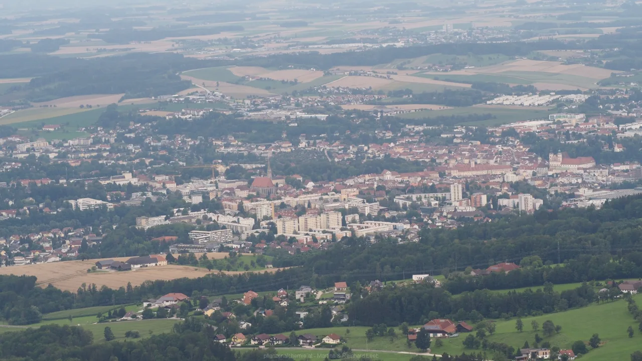 Blick von der Dambergwarte aus auf Steyr