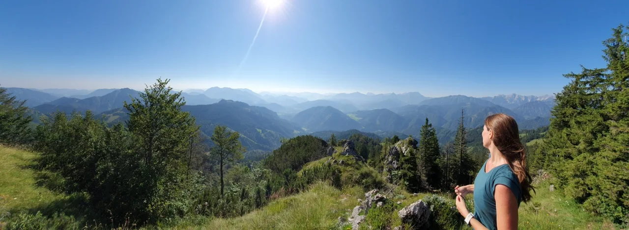 Bodenwies 8.8.2020 – Aufnahme 33