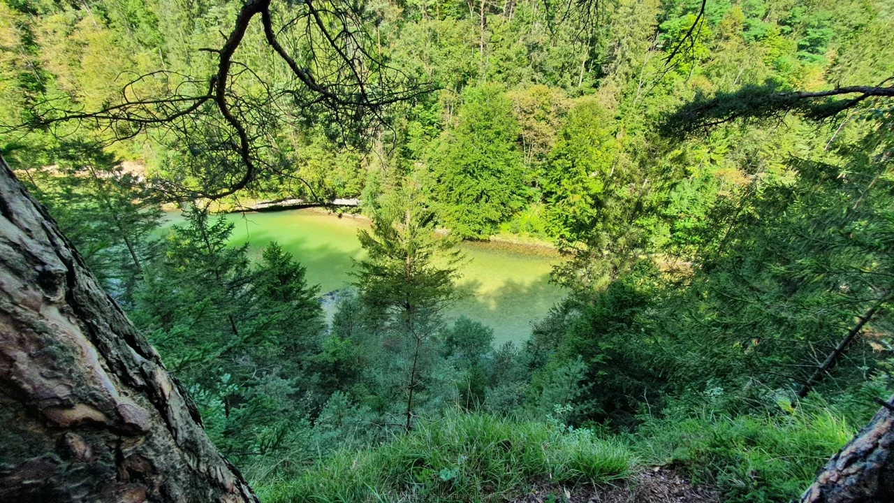 Blick auf die Steyr