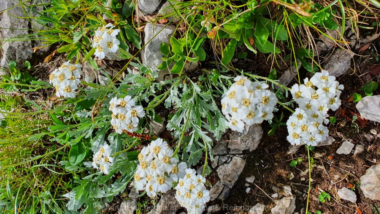 Ybbstalerhütte-Dürrenstein-Lunz – Aufnahme 28
