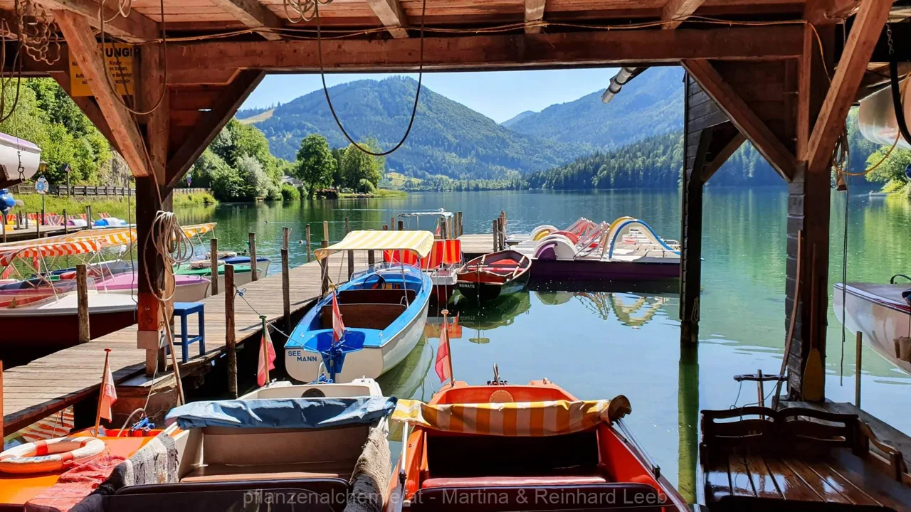 Lunz-Ybbstalerhütte – Aufnahme 5
