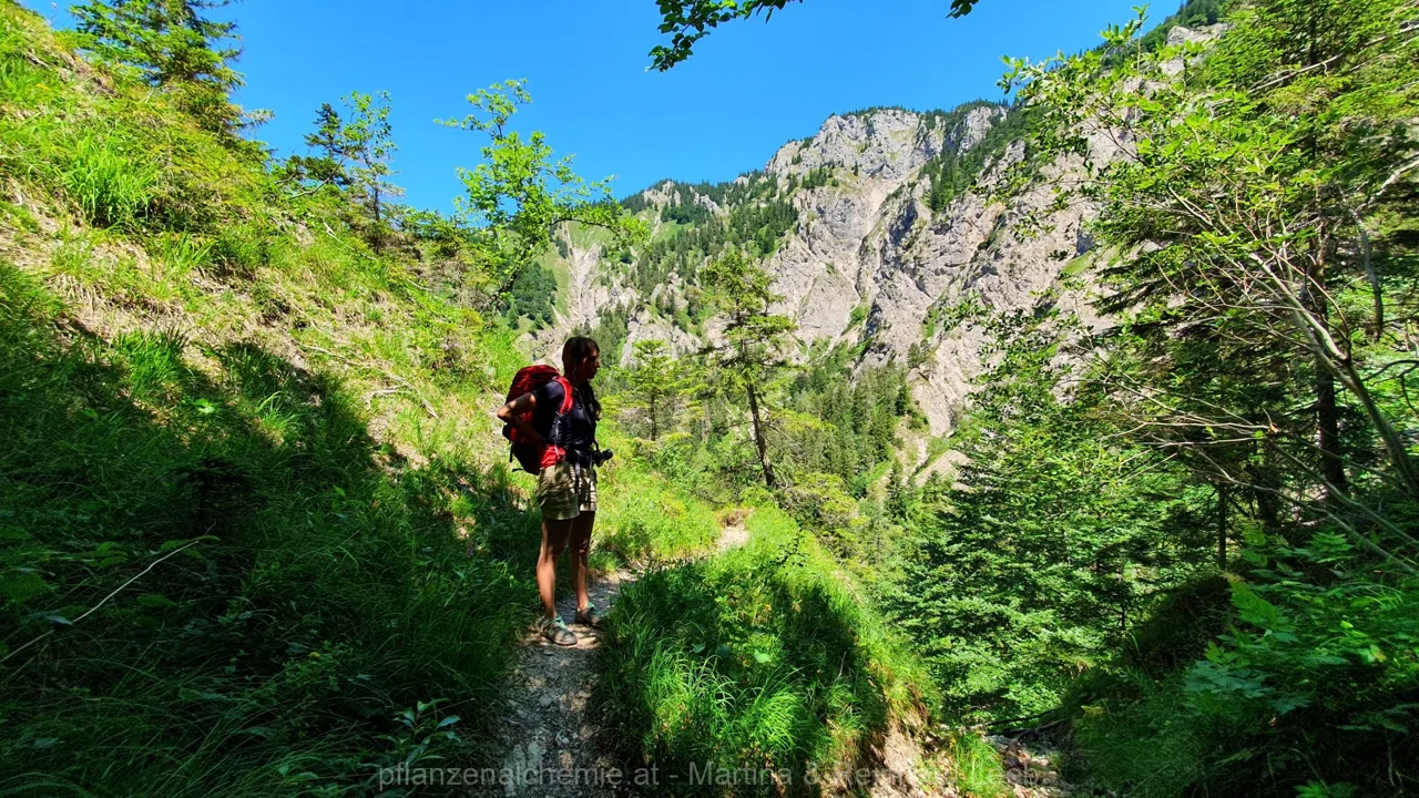 Lunz-Ybbstalerhütte – Aufnahme 48