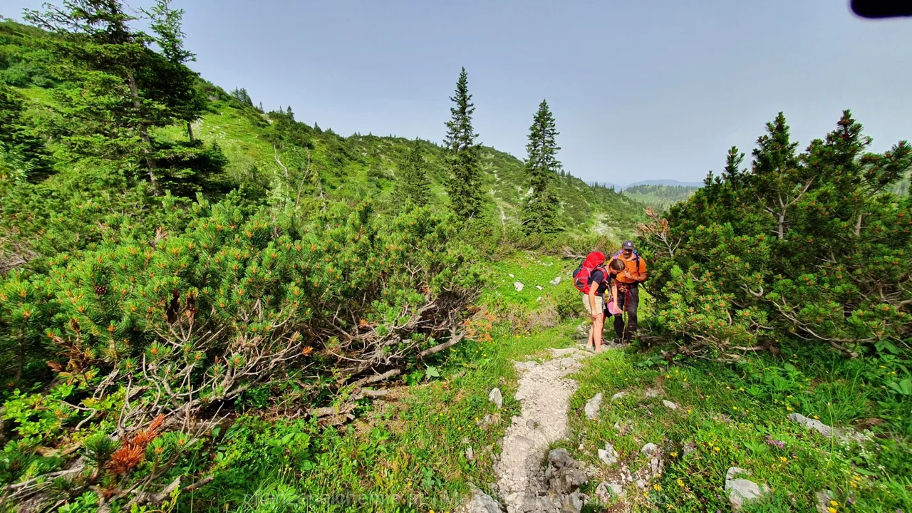 Ybbstalerhütte-Dürrenstein-Lunz – Aufnahme 15
