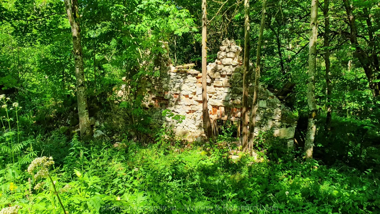 Lunz-Ybbstalerhütte – Aufnahme 19
