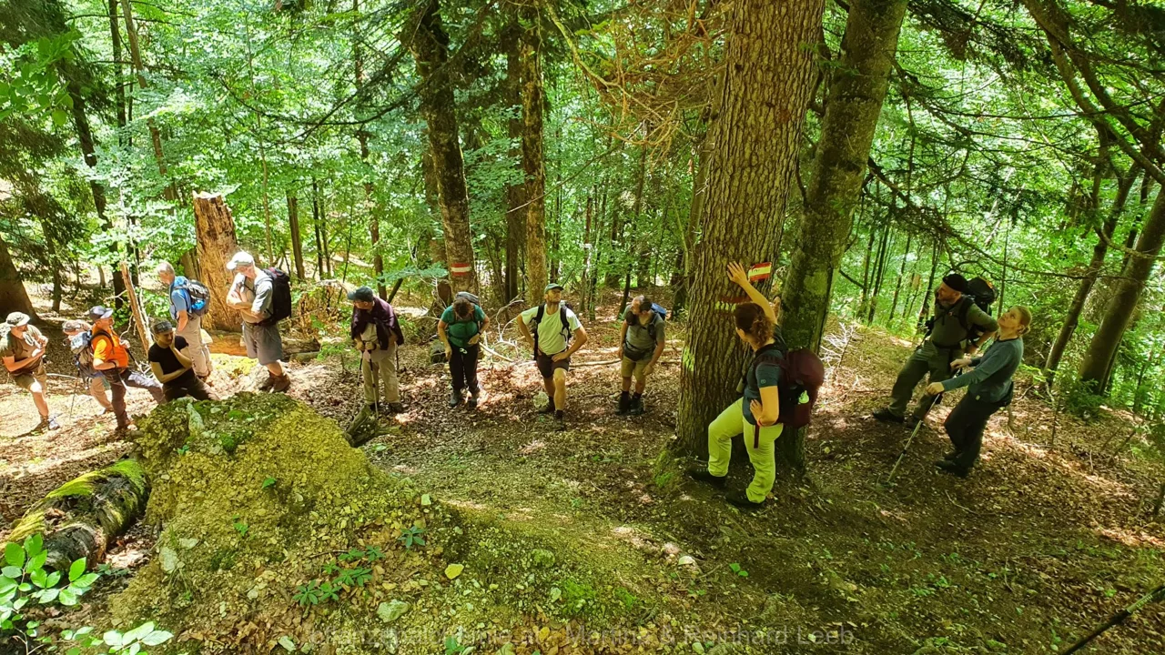 Beim Abstieg ins Lassingtal