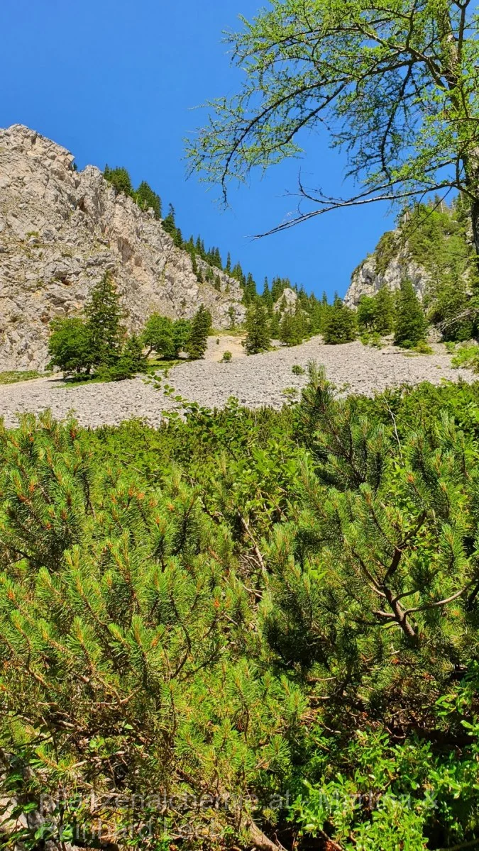 Lunz-Ybbstalerhütte – Aufnahme 56