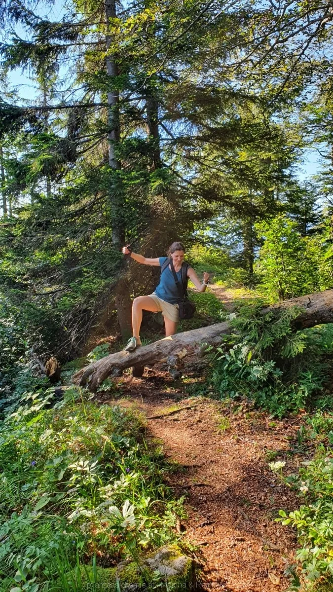 Martina kämpft sich durch den Wald ;)