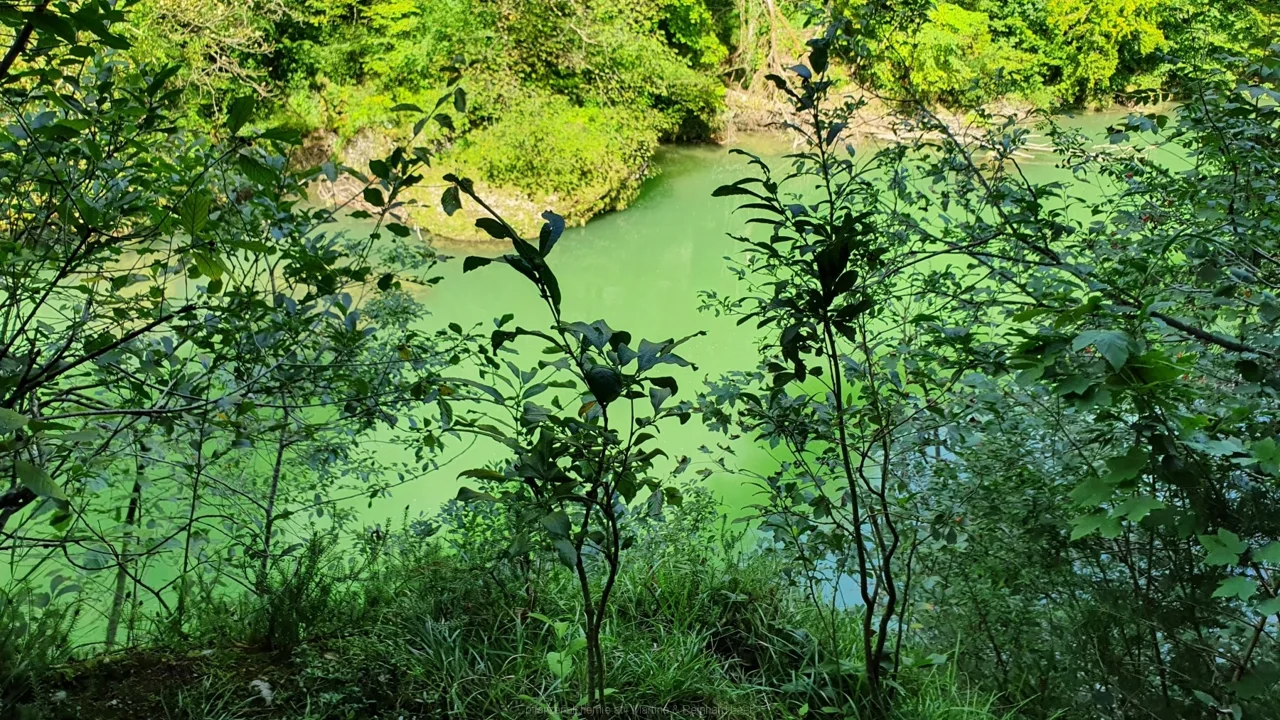 Blick auf die Steyr