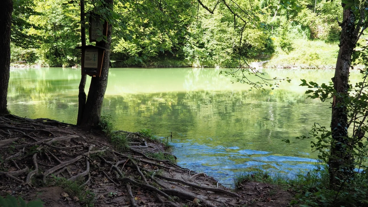 Blick auf die Steyr