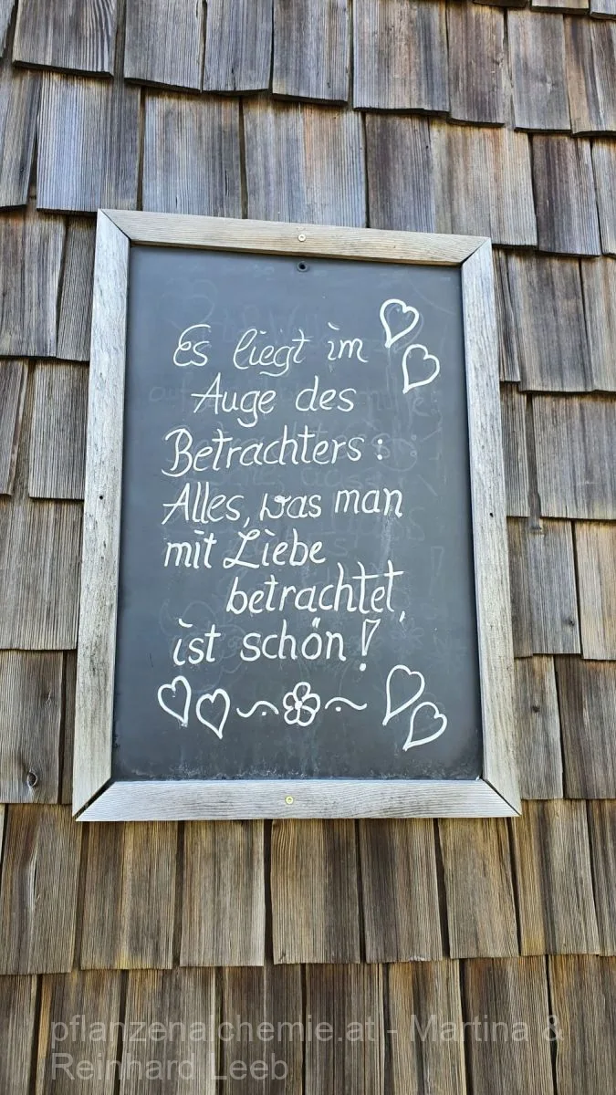 Lunz-Ybbstalerhütte – Aufnahme 76