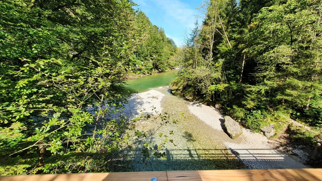 Blick von der krummen Steyerling auf die Steyr
