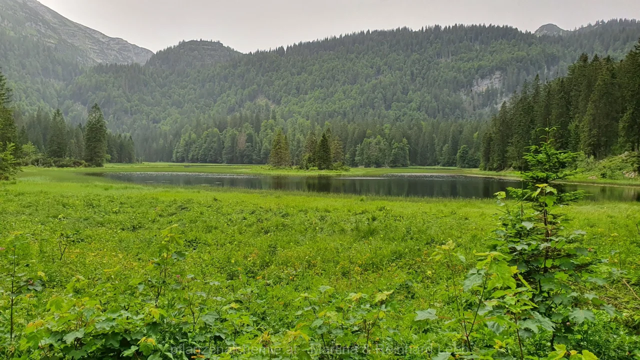 Ybbstalerhütte-Dürrenstein-Lunz – Aufnahme 53