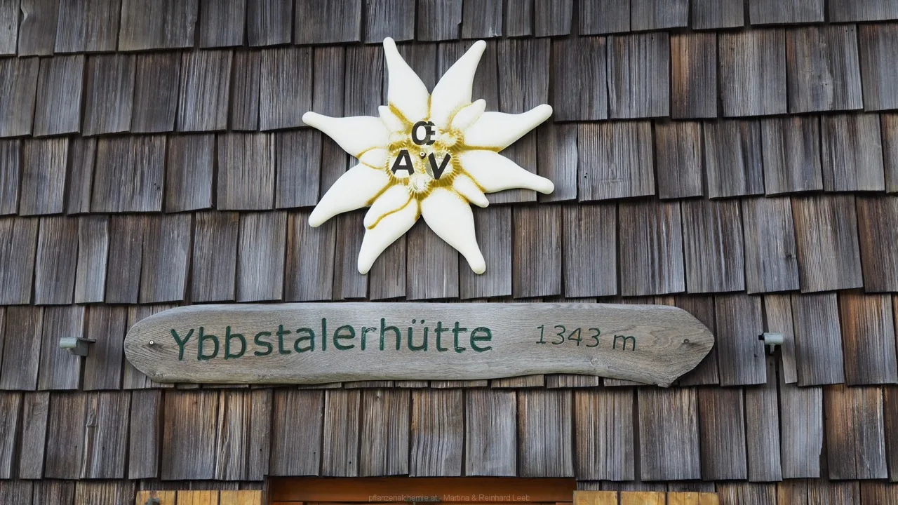 Ybbstalerhütte